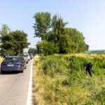 Milan: police officer killed, 27-year-old arrested for vehicular homicide