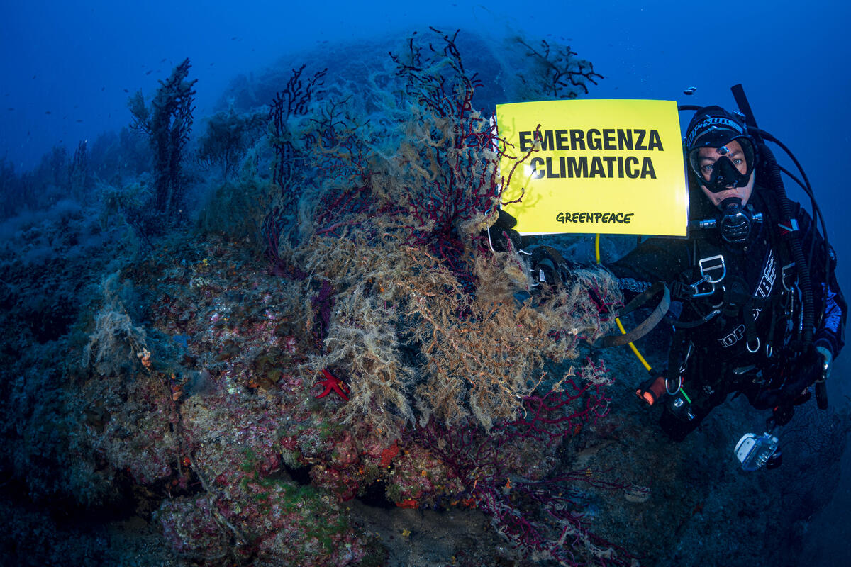 Climate: Copernicus reports record global sea surface temperatures in June Climate: Copernicus reports record global sea surface temperatures in June