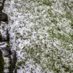 Coldiretti: “23 extreme weather events a day in June – a risk to agriculture”