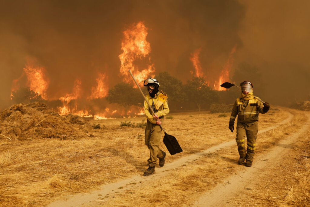 Spain, wave of wildfires: blaze on the outskirts of Barcelona raises concern