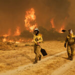 Spain, wave of wildfires: blaze on the outskirts of Barcelona raises concern