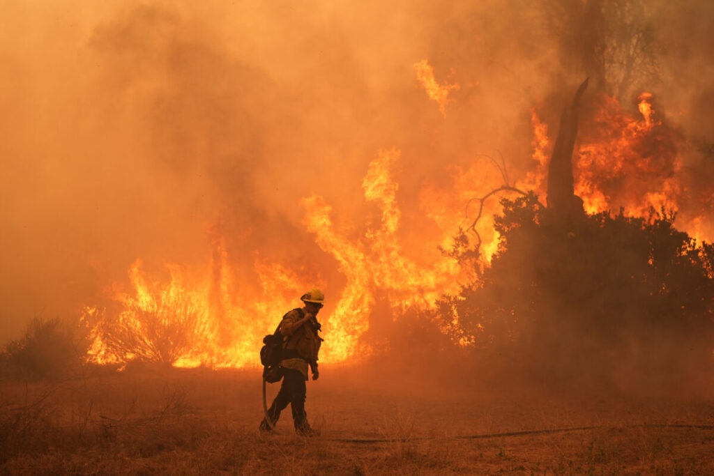 Governor of Andalusia: “Fire caused by a fallen power line”