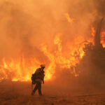 Governor of Andalusia: “Fire caused by a fallen power line”