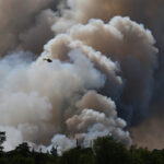 France: two arrests in connection with the fires in Fontainebleau