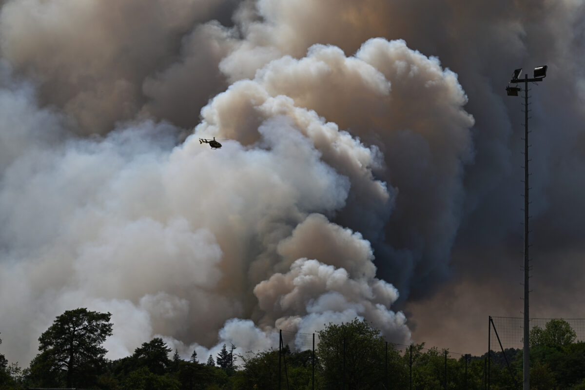 France: two arrests in connection with the fires in Fontainebleau France: two arrests in connection with the fires in Fontainebleau