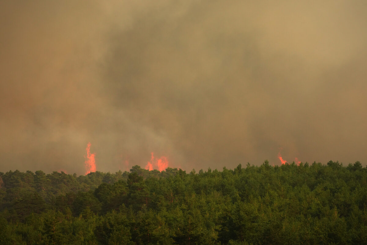 Spain: 10,000 evacuated due to wildfires in the Madrid region; national state of emergency declared Spain: 10,000 evacuated due to wildfires in the Madrid region; national state of emergency declared