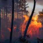 France: the number of people evacuated due to wildfires in Gironde rises to over 110,000