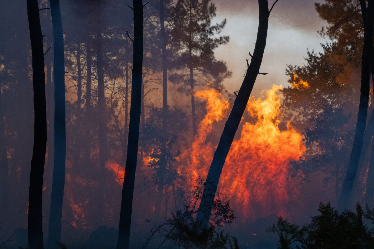 France: the number of people evacuated due to wildfires in Gironde rises to over 110,000 France: the number of people evacuated due to wildfires in Gironde rises to over 110,000