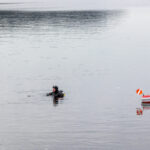 Como: man dives into the lake to help his 16-year-old son and does not resurface