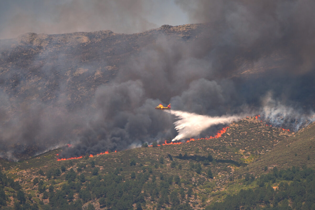 Wildfires: over 90,000 people evacuated or confined in Spain; Sánchez in Castellón today Wildfires: over 90,000 people evacuated or confined in Spain; Sánchez in Castellón today