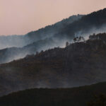 Spain, Sánchez: “150,000 hectares burnt and 13 fatalities since the start of the year”