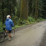 Trentino: tourist dies after falling from his bike on a closed path, witnessed by his son