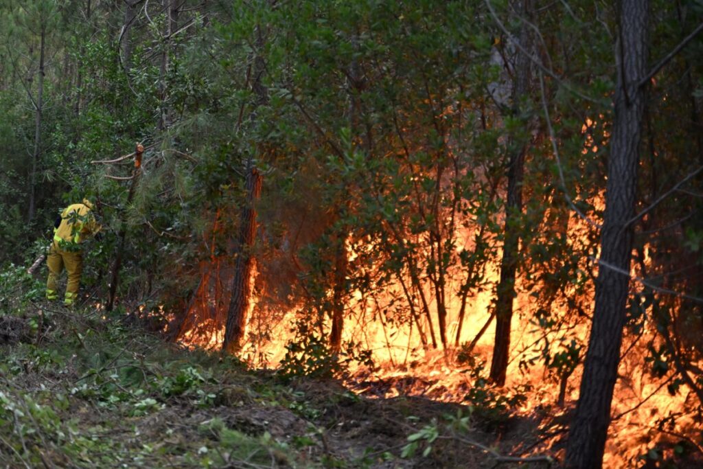 26 wildfires raging in France; situation remains complex