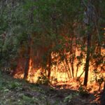 26 wildfires raging in France; situation remains complex