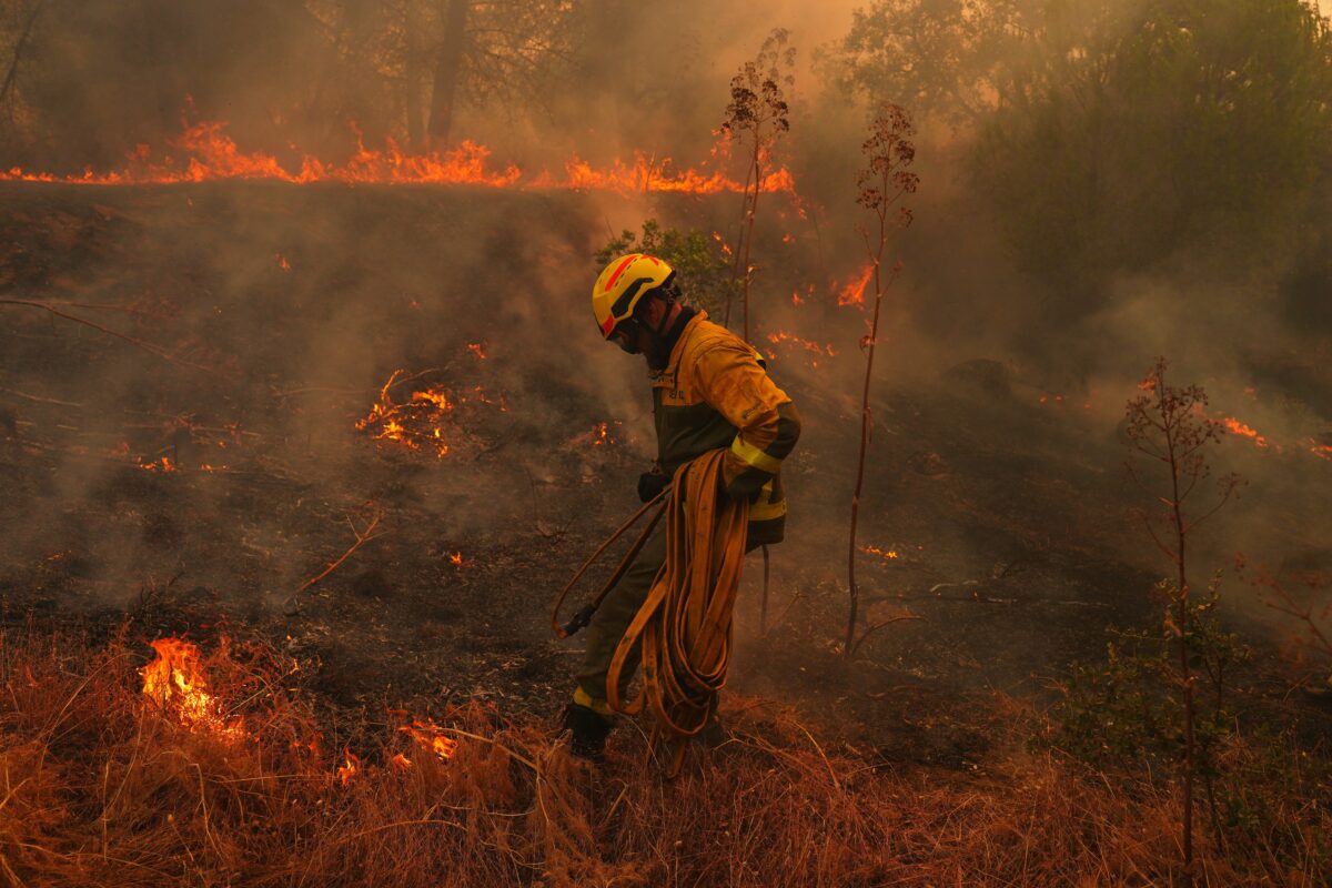 Wildfires: FT reports damage in Europe has already exceeded €3 billion Wildfires: FT reports damage in Europe has already exceeded €3 billion