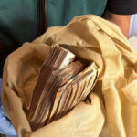 Drugs: 44 arrests in Spain and Ecuador; 21 tonnes of cocaine seized