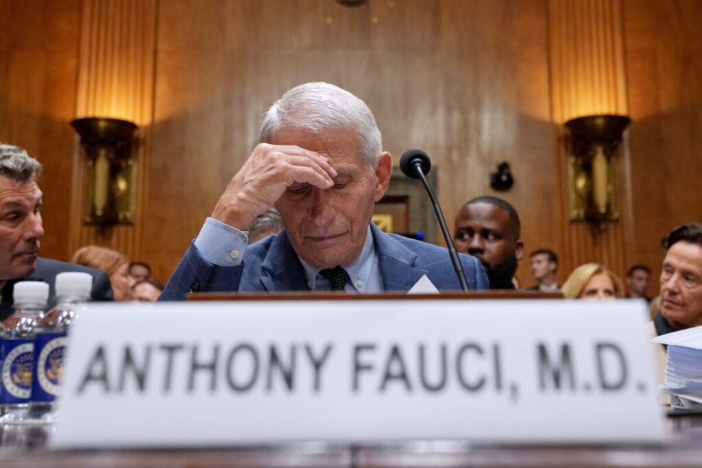 US: Senate finds Fauci guilty of contempt of Congress