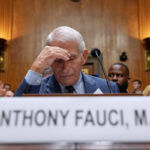 US: Senate finds Fauci guilty of contempt of Congress