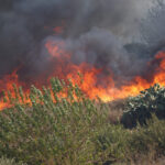 Fires: Sicily regional government declares state of emergency