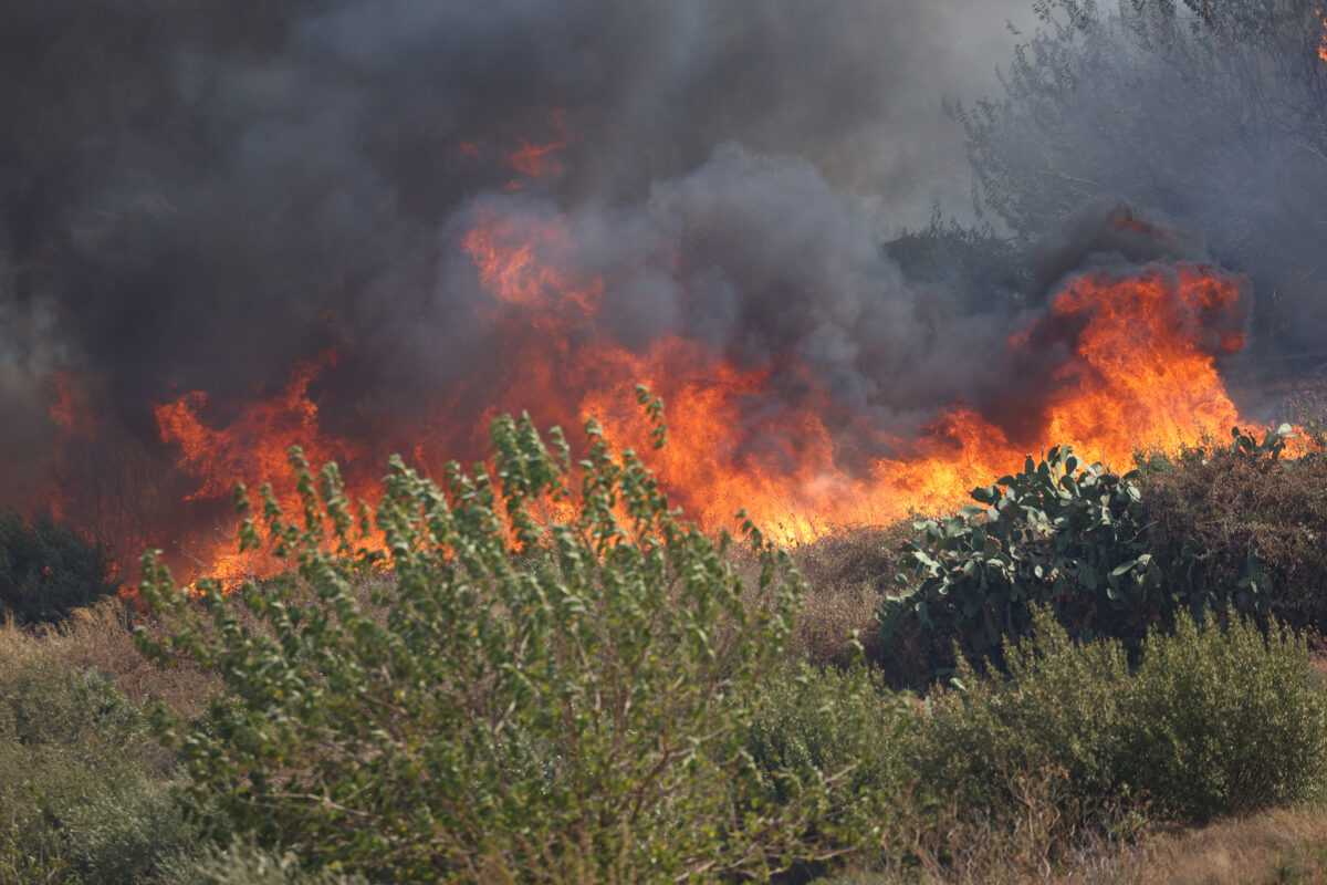 Fires: Sicily regional government declares state of emergency Fires: Sicily regional government declares state of emergency