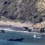 Migrants, Guardia Civil installs maritime barrier in Melilla
