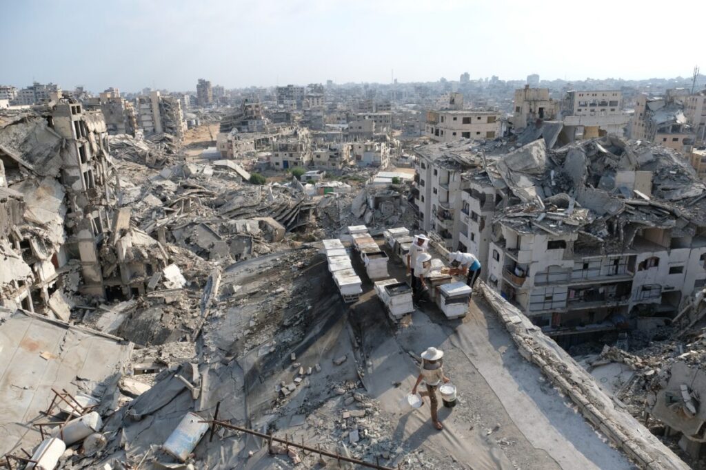 Gaza: five injured in IDF raid in the south; one child is in a serious condition