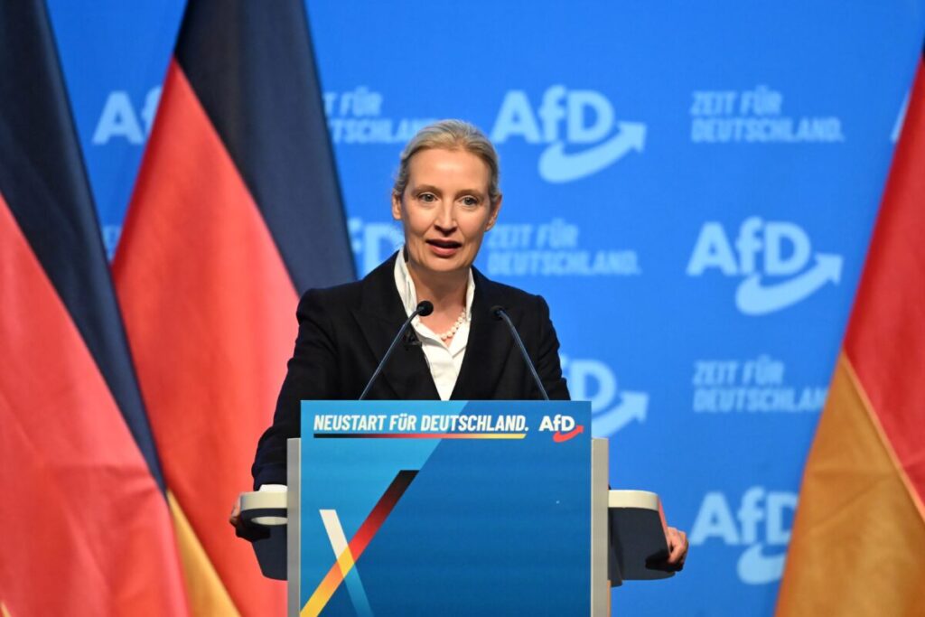 Migrants: AfD leader Weidel says Berlin should not compensate Italy but stop NGOs