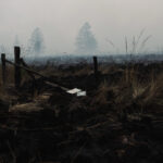 Indonesia: 72 suspected arsonists arrested for starting forest fires