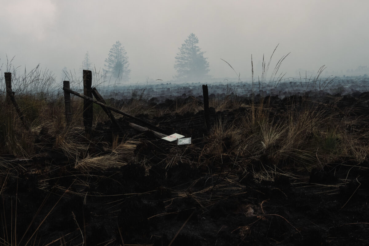 Indonesia: 72 suspected arsonists arrested for starting forest fires