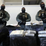 Livorno: 65 kg of cocaine hidden in a consignment of bananas seized at the port