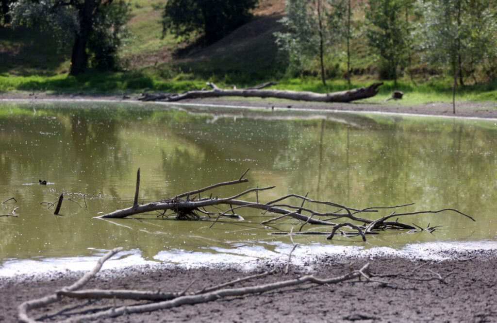 Grosseto: man found dead in an artificial pond in Scansano