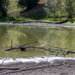 Grosseto: man found dead in an artificial pond in Scansano