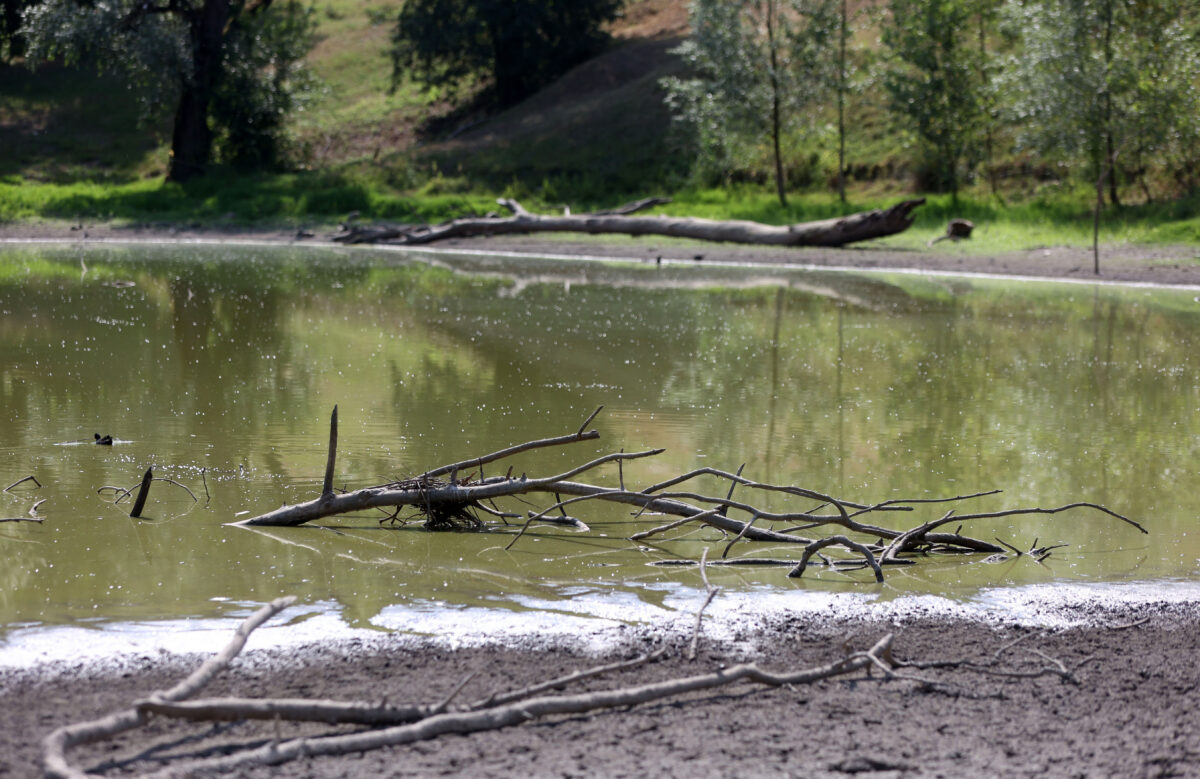 Grosseto: man found dead in an artificial pond in Scansano