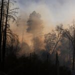 Climate, Copernicus: “40 per cent of the population will be exposed to dangerous levels of ozone in 2026”