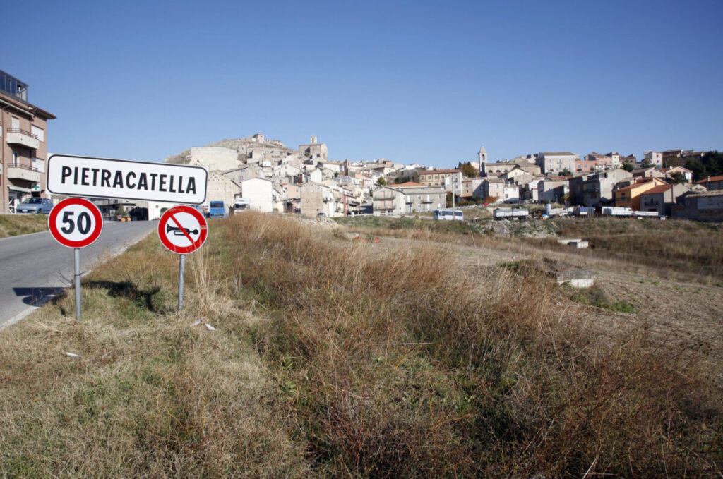 Pietracatella: castor oil plants reported in Casacalenda; checks are also being carried out between Riccia and Occhito