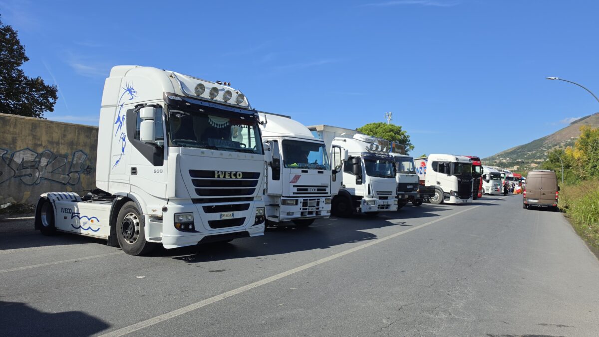 Road haulage decree, associations: “Immediate approval for announced measures is welcome.”