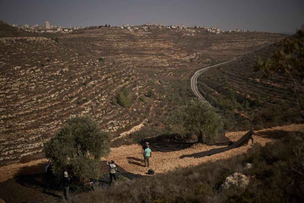 The five activists detained in the West Bank have returned to Italy