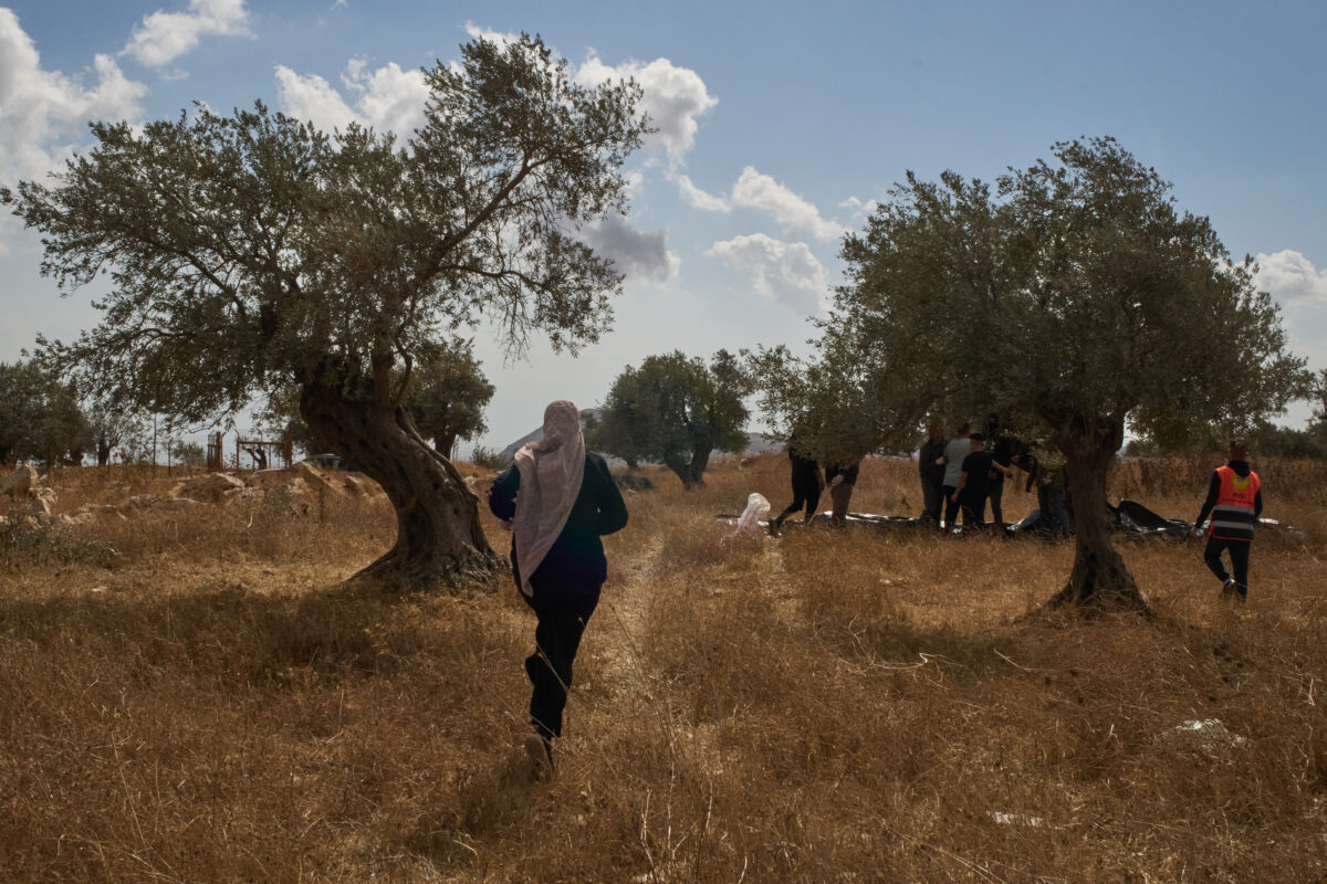 Italians detained in the West Bank; four face deportation